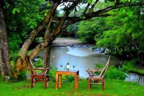 Freedom Eco Resort
